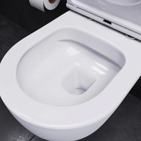 Подвесной унитаз Damixa Sirius DX86C1700SC, безободковый, крышка микролифт, белый