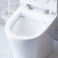 Унитаз-компакт Damixa Sirius DX86C8600SC безободковый, с сиденьем микролифт, белый