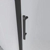 Душевая дверь в нишу Veconi Evo 100 B E1-B-130-01-C9, 130 см, стекло прозрачное, профиль черный матовый