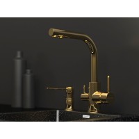 Смеситель Paulmark Essen Es213011-G для кухонной мойки, с подключением к фильтру, золото