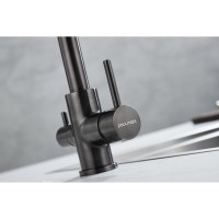 Смеситель Paulmark Essen Es213011-GM для кухонной мойки, с подключением к фильтру, PVD, вороненая сталь
