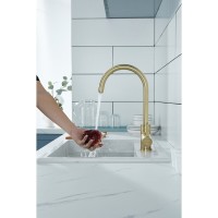 Смеситель Paulmark Essen Es213211-BR для кухонной мойки, с подключением к фильтру, бронза