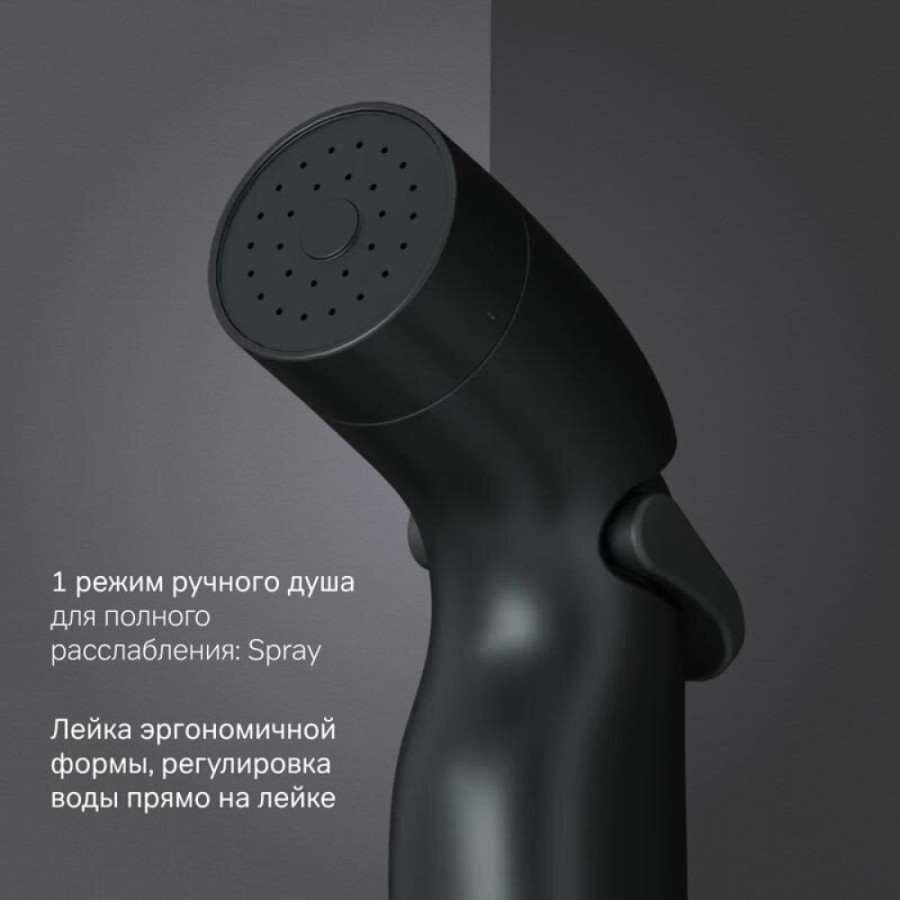Гигиенический душ Am.Pm, с держателем и шлангом, цвет черный матовый, F0202022