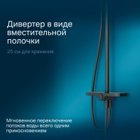 Душевой гарнитур Am.Pm Like, цвет черный, F0780222
