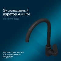 Смеситель Am.Pm Like F8007122 для кухни, элегантный черный