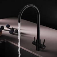 Смеситель для кухонной мойки AM.PM X-Joy S F85B07722, с подключением к фильтру, черный