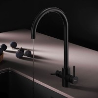 Смеситель для кухонной мойки AM.PM X-Joy S F85B07722, с подключением к фильтру, черный
