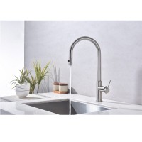 Смеситель для кухонной мойки Paulmark Galant Ga213077-BS, с подключением к фильтру, нержавеющая сталь
