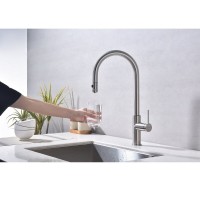 Смеситель для кухонной мойки Paulmark Galant Ga213077-BS, с подключением к фильтру, нержавеющая сталь