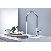 Смеситель для кухонной мойки Paulmark Galant Ga213077-CR, с подключением к фильтру, хром