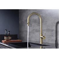 Смеситель для кухонной мойки Paulmark Galant Ga213077-LG, с подключением к фильтру, золото светлое