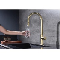 Смеситель для кухонной мойки Paulmark Galant Ga213077-LG, с подключением к фильтру, золото светлое