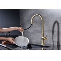 Смеситель для кухонной мойки Paulmark Galant Ga213077-LG, с подключением к фильтру, золото светлое