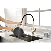 Смеситель Paulmark Gravity Gr213888-G для кухонной мойки под фильтр, золото