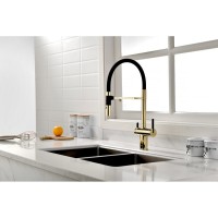 Смеситель Paulmark Gravity Gr213888-G для кухонной мойки под фильтр, золото