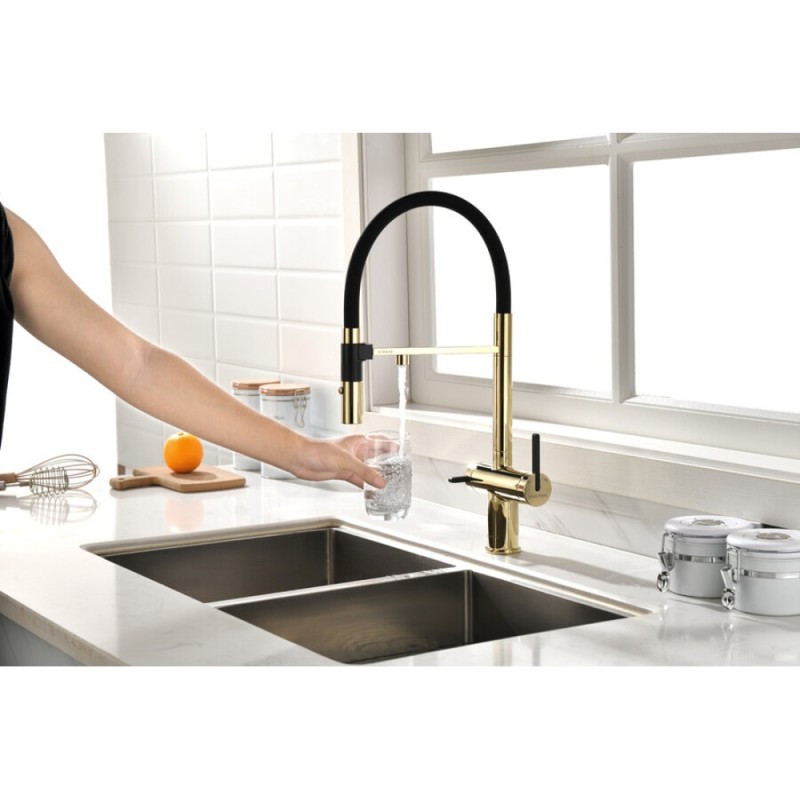 Смеситель Paulmark Gravity Gr213888-G для кухонной мойки под фильтр, золото