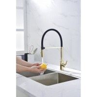 Смеситель Paulmark Halt Ha214021-G для кухонной мойки, золото