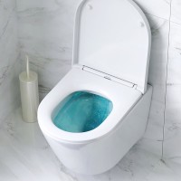 Инсталляция Am.Pm MasterFit, IS100138.741701, унитаз безободковый Sense, крышка-сиденье микролифт, клавиша черная матовая
