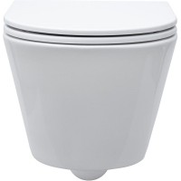 Подвесной безободковый унитаз Aquanet LAKE-W 316461, цвет белый