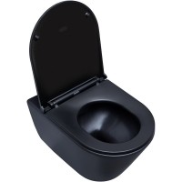 Подвесной безободковый унитаз Aquanet LAKE-WB 316462, цвет черный матовый