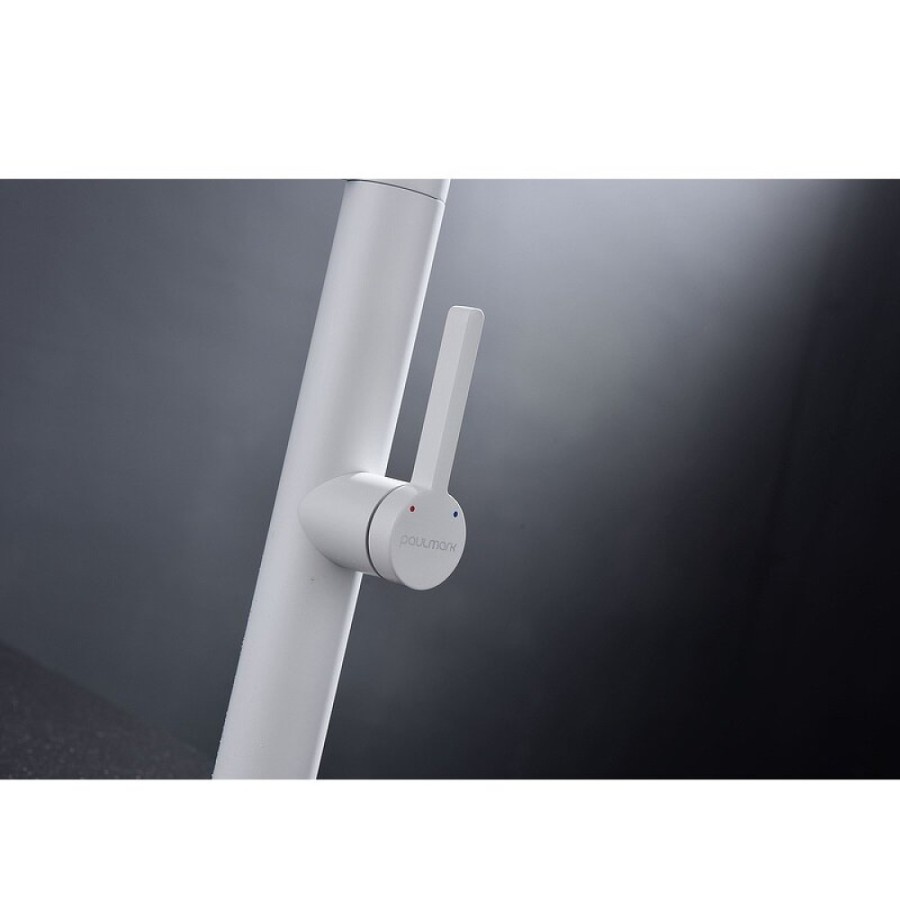 Смеситель Paulmark Leader Le214101-WH для кухонной мойки, с гибким изливом, цвет белый матовый