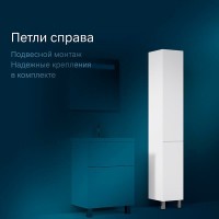 Шкаф-пенал Am.Pm Gem M90CSR0306WG 30 напольный, цвет белый, петли справа