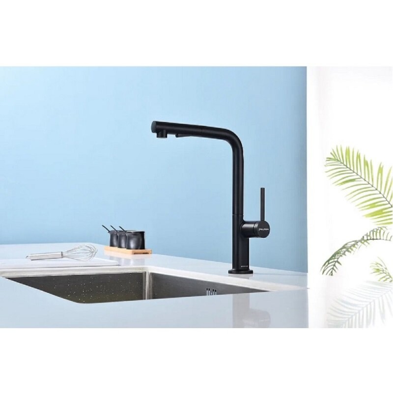 Смеситель Paulmark Neo Ne214419-AN, для кухонной мойки, цвет антрацит