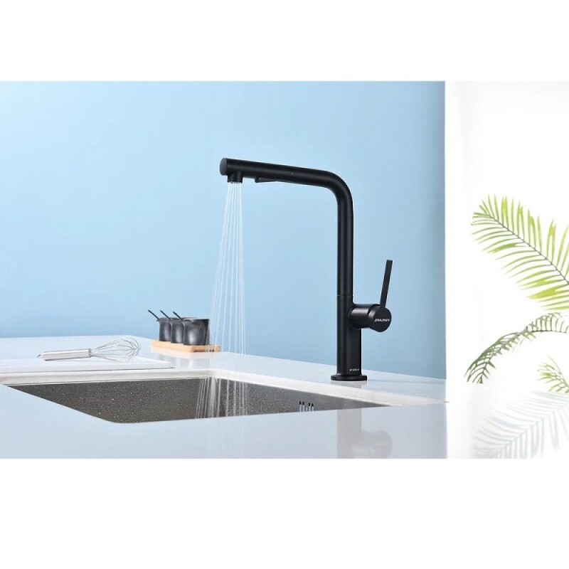 Смеситель Paulmark Neo Ne214419-AN, для кухонной мойки, цвет антрацит