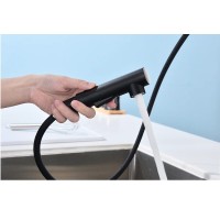 Смеситель Paulmark Neo Ne214419-AN, для кухонной мойки, цвет антрацит