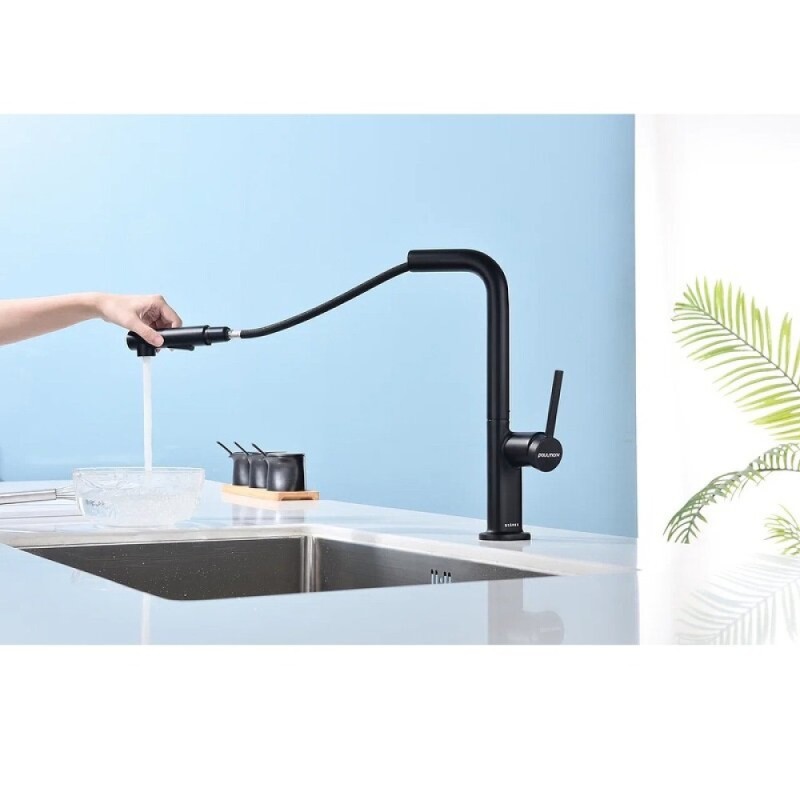 Смеситель Paulmark Neo Ne214419-AN, для кухонной мойки, цвет антрацит