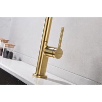 Смеситель Paulmark Neo, для кухонной мойки, цвет брашированное золото, Ne214419-BG