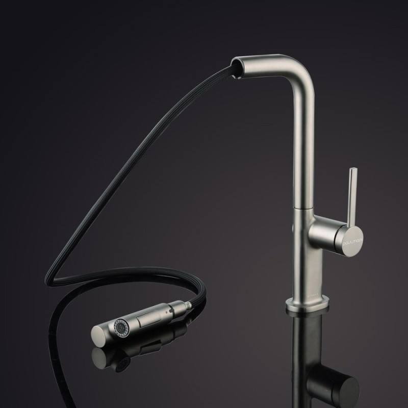 Смеситель Paulmark Neo Ne214419-BS, для кухонной мойки, брашированная сталь