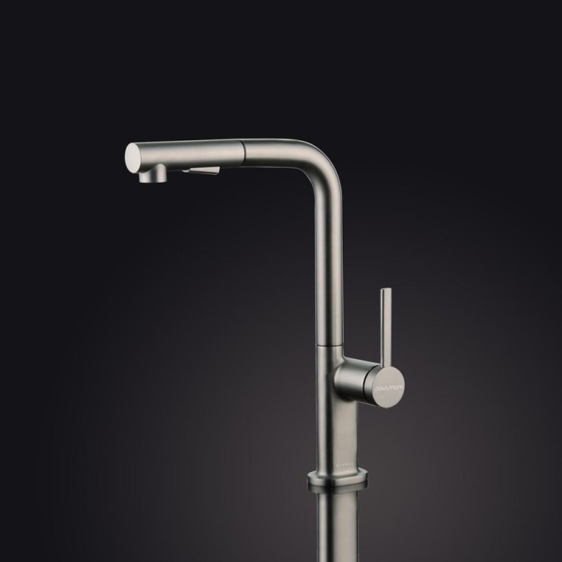 Смеситель Paulmark Neo Ne214419-BS, для кухонной мойки, брашированная сталь