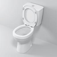 Напольный унитаз Niagara Brava NG-9901, безободковый, с сиденьем микролифт