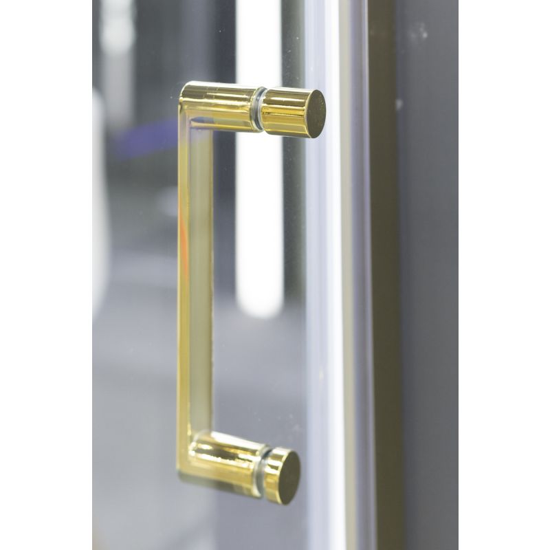 Душевая дверь Niagara NG-43-10AG (100х195) 1 место