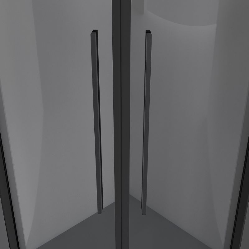 Душевой уголок Niagara NG-2826-34BLACK (90*90*195) полукруг, раздвижная, черный матовый, стекло тониров,1 м