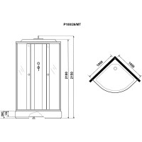 Душевая кабина Niagara Promo P100/26/MT, 100 x 100 см, с крышей, стекло матовое, профиль белый