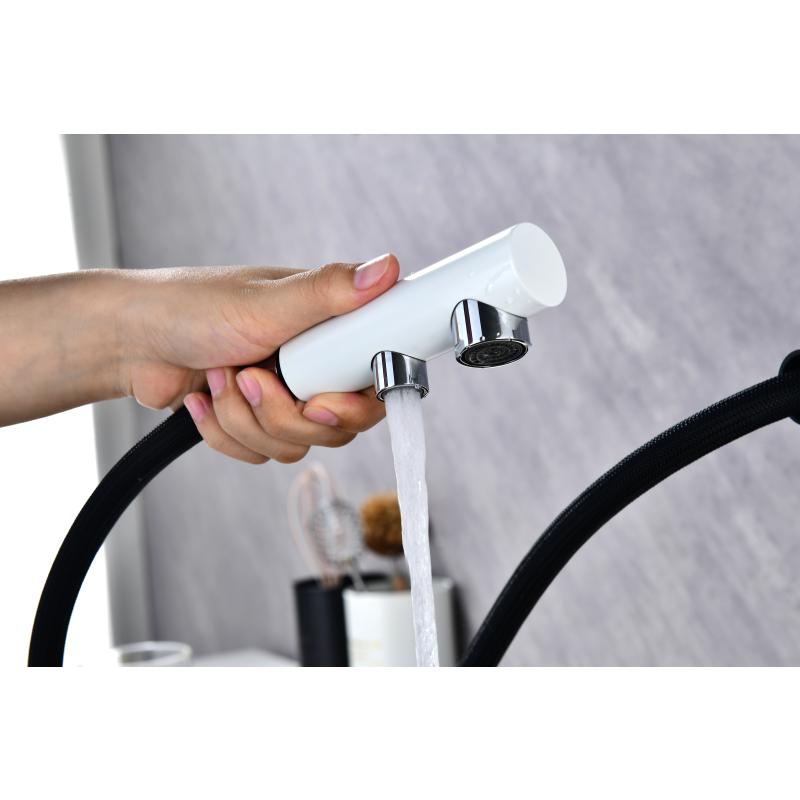 Смеситель для кухни Paulmark Serpentine Se213222-431 Белый матовый