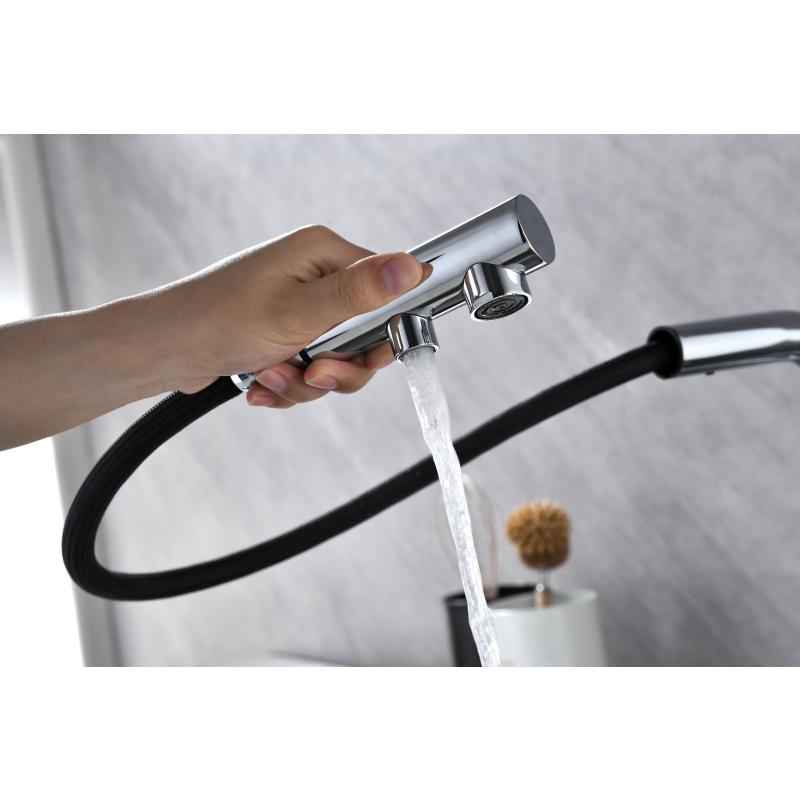 Смеситель для кухни Paulmark Serpentine Se213222-CR Хром