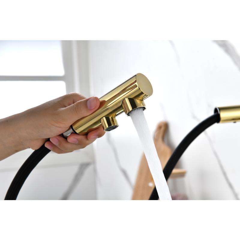 Смеситель для кухни Paulmark Serpentine Se213222-G Золото