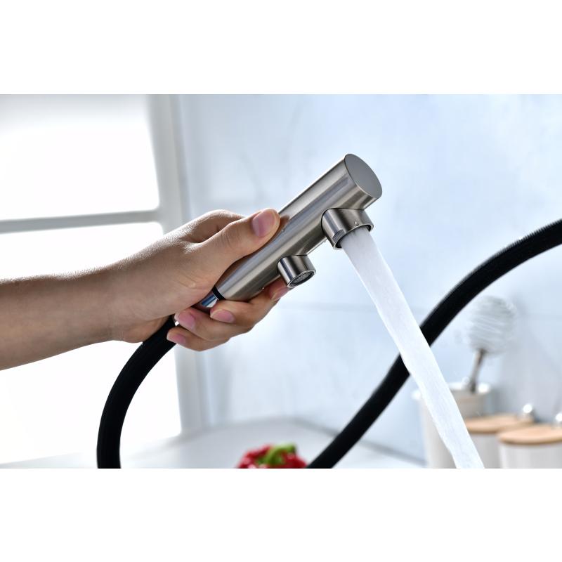 Смеситель для кухни Paulmark Serpentine Se213222-NI Никель