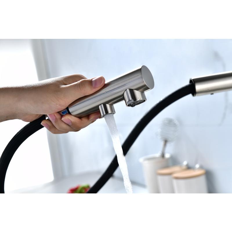 Смеситель для кухни Paulmark Serpentine Se213222-NI Никель