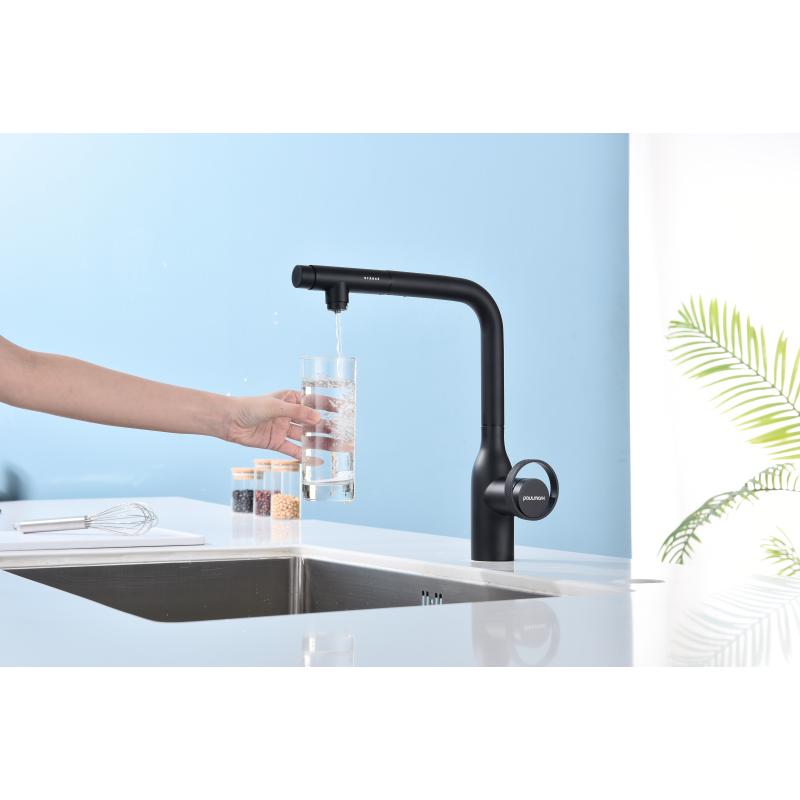 Смеситель для кухни Paulmark Urban Ur213104-401 Антрацит