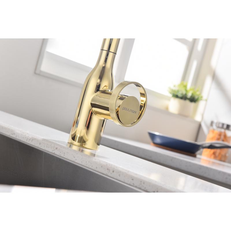 Смеситель для кухни Paulmark Urban Ur213104-G Золото