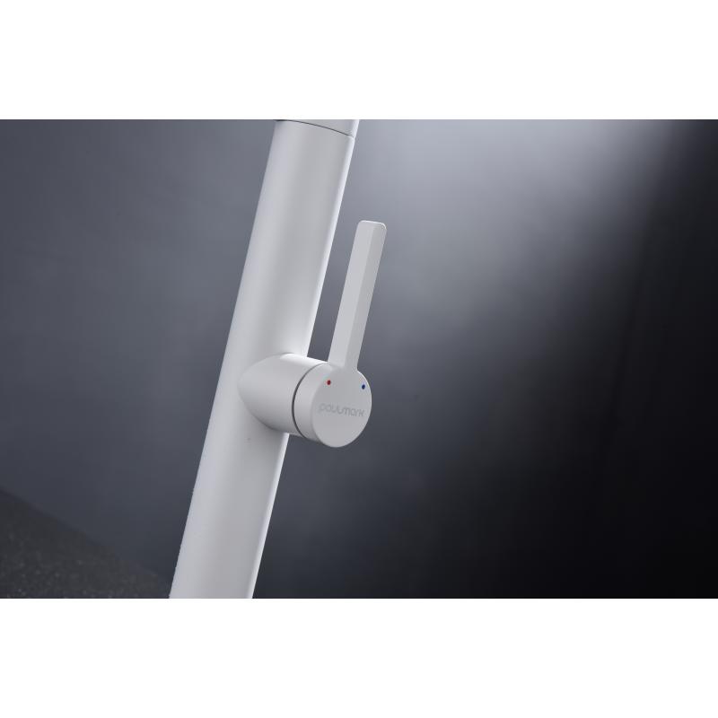 Смеситель для кухни Paulmark Leader Le214101-431 Белый матовый