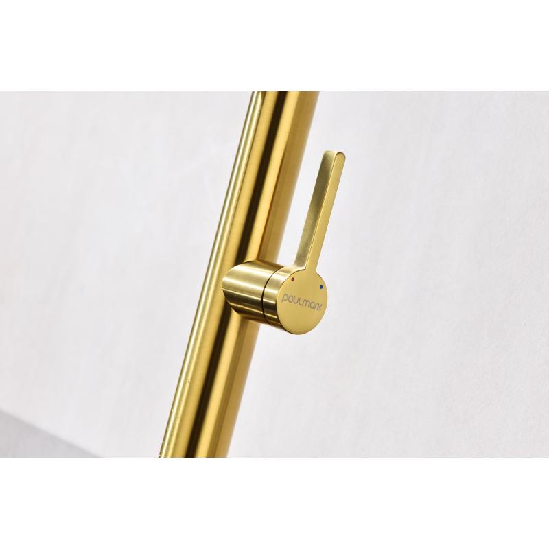 Смеситель для кухни Paulmark Leader Le214101-BG Брашированное золото