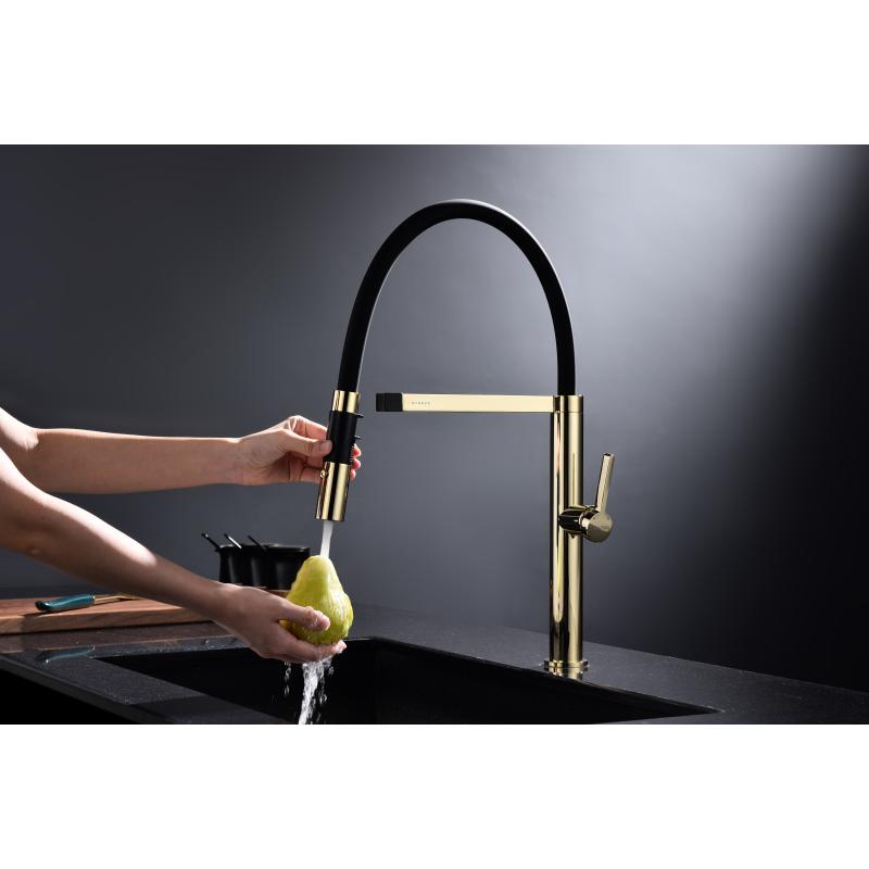 Смеситель для кухни Paulmark Leader Le214101-G Золото