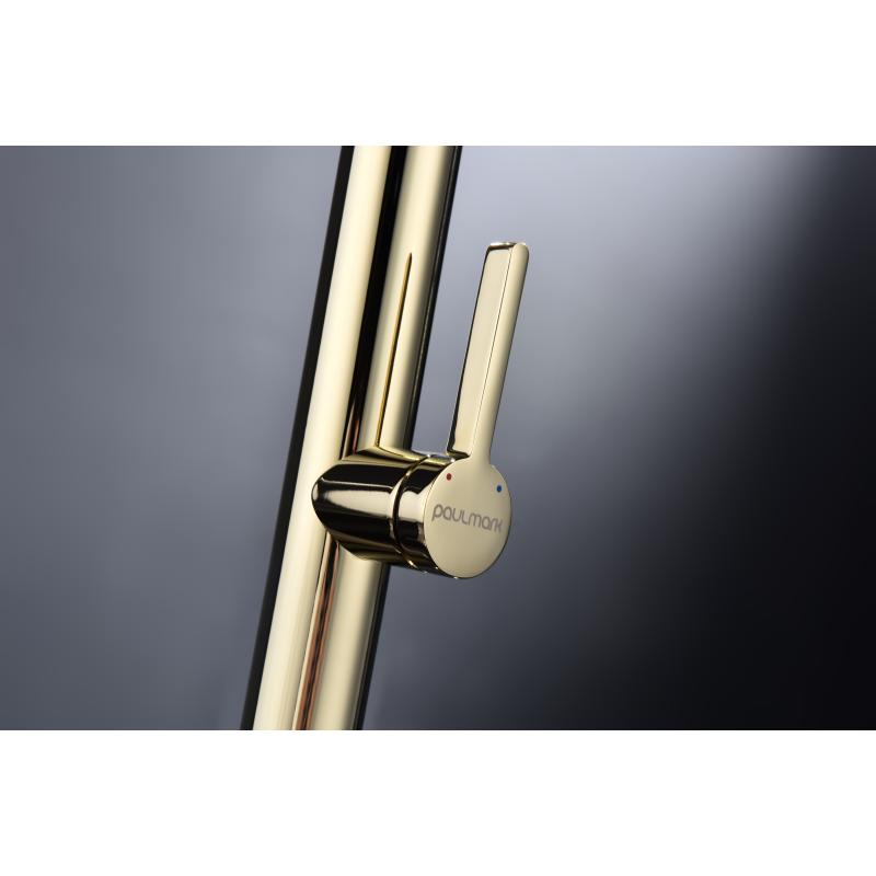 Смеситель для кухни Paulmark Leader Le214101-G Золото