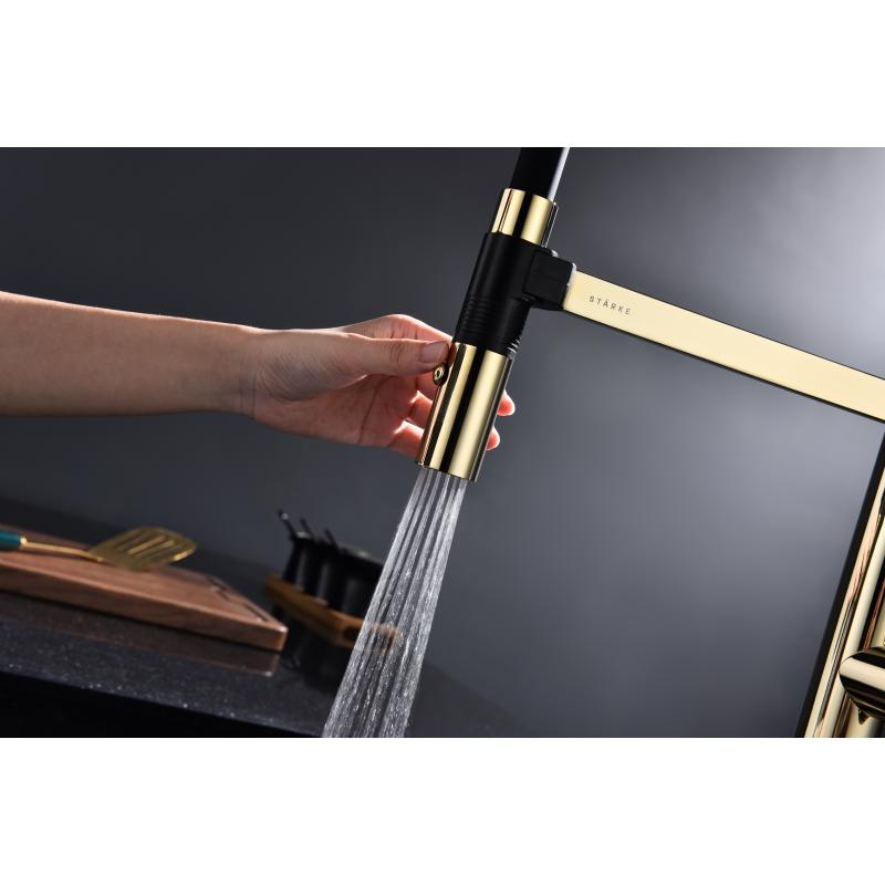 Смеситель для кухни Paulmark Leader Le214101-G Золото