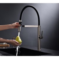 Смеситель для кухни Paulmark Leader Le214101-NI Никель